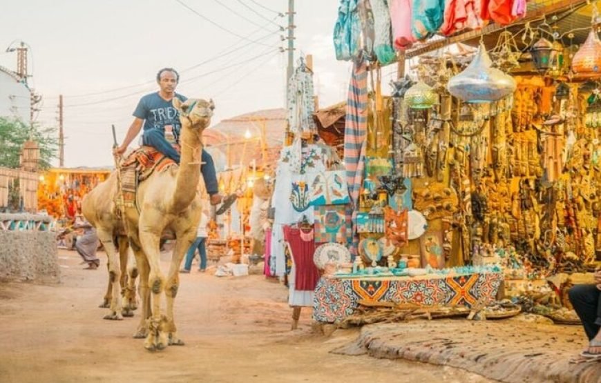 Day Trip to Nubian Village with Camel Tour from Aswan