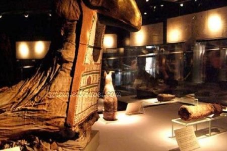 HALF DAY TOUR VISIT KING TUT MUSEUM IN SHARM EL SHEIKH