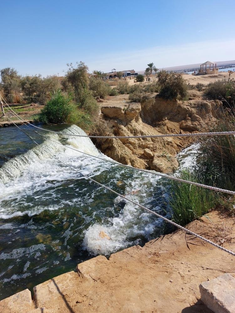 Excursion to the Fayoum Oasis