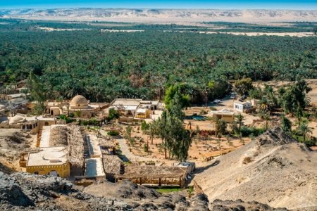 Excursion to the Fayoum Oasis